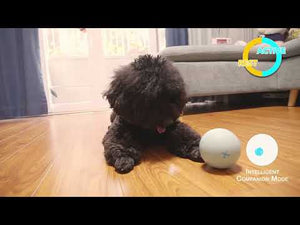 Cheerble Wicked Ball 螺旋型電動智能寵物訓練玩具球-貓狗-毛孩物語Pets Thing|香港寵物貓狗用品專門店:IATA寵物飛機籠、寵物手推車、貓爬架貓樹
