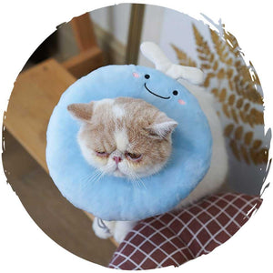 🐱貓貓可愛柔軟頸圈(小青蛙)-貓-毛孩物語Pets Thing|香港寵物貓狗用品專門店:IATA寵物飛機籠、寵物手推車、貓爬架貓樹