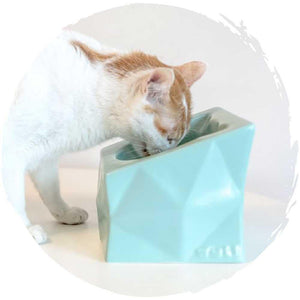 🥣日式和風寵物八角陶瓷餵食碗-貓狗-毛孩物語Pets Thing|香港寵物貓狗用品專門店:IATA寵物飛機籠、寵物手推車、貓爬架貓樹
