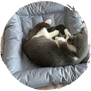 POPOCOLA寵物降溫夏季方形冰窩-貓狗-毛孩物語Pets Thing|香港寵物貓狗用品專門店:IATA寵物飛機籠、寵物手推車、貓爬架貓樹