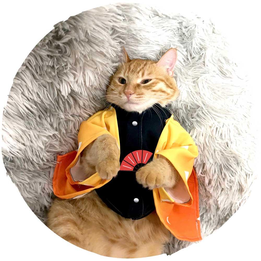👻鬼滅之刃Cosplay貓貓服飾(我妻善逸)-貓-毛孩物語Pets Thing|香港寵物貓狗用品專門店:IATA寵物飛機籠、寵物手推車、貓爬架貓樹