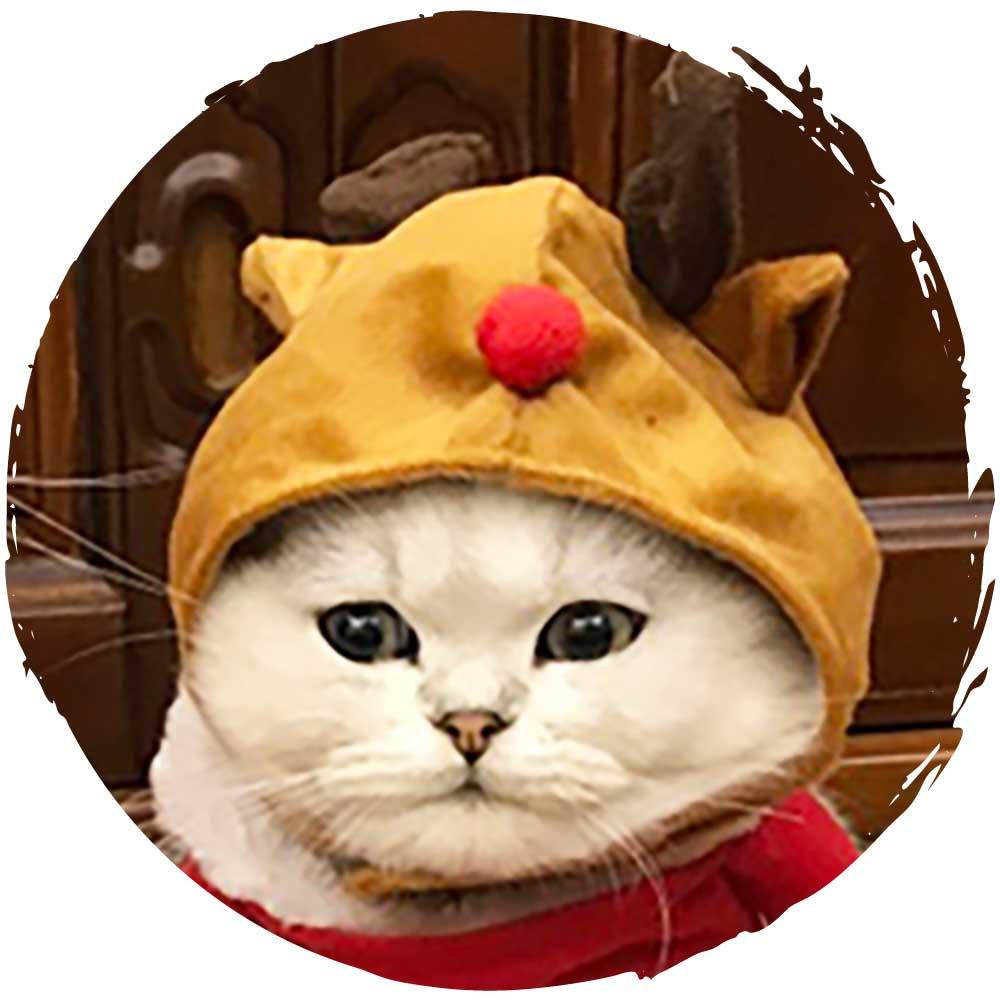 Petio聖誕節寵物帽貓咪狗仔帽子 (鹿角)-貓狗-毛孩物語Pets Thing|香港寵物貓狗用品專門店:IATA寵物飛機籠、寵物手推車、貓爬架貓樹