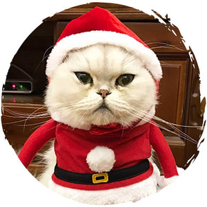 Petio聖誕節寵物帽貓咪狗仔帽子 (聖誕帽)-貓狗-毛孩物語Pets Thing|香港寵物貓狗用品專門店:IATA寵物飛機籠、寵物手推車、貓爬架貓樹