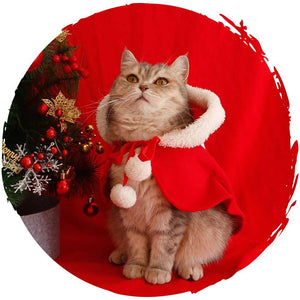 紅色聖誕寵物衣服可愛聖誕貓咪披風斗篷-貓狗-毛孩物語Pets Thing|香港寵物貓狗用品專門店:IATA寵物飛機籠、寵物手推車、貓爬架貓樹