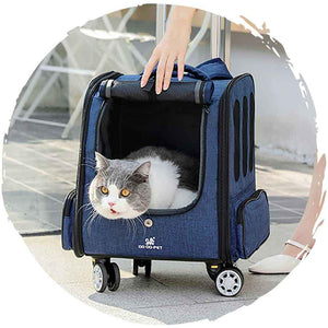 DODOPET 寵物兩用背囊手拉車 四輪360度轉動(藍色) (寵物承重:10kg)-貓狗-毛孩物語Pets Thing|香港寵物貓狗用品專門店:IATA寵物飛機籠、寵物手推車、貓爬架貓樹