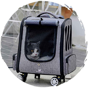 DODOPET 寵物兩用背囊手拉車 四輪360度轉動(藍色) (寵物承重:10kg)-貓狗-毛孩物語Pets Thing|香港寵物貓狗用品專門店:IATA寵物飛機籠、寵物手推車、貓爬架貓樹