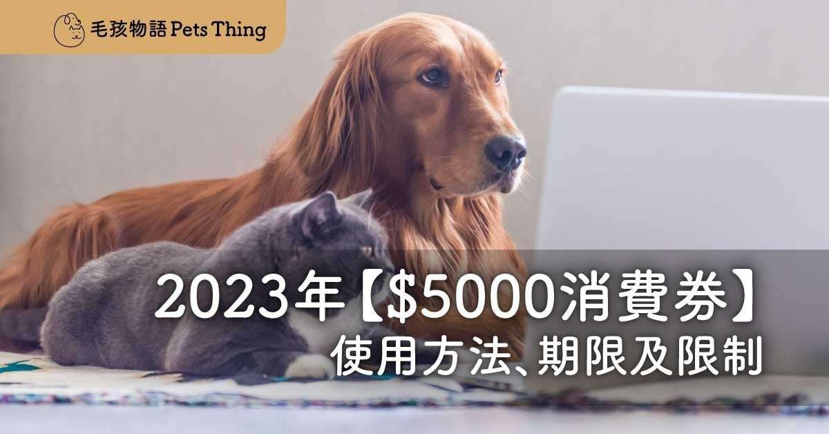 【$5,000寵物用品消費券攻略】2023年電子消費券期限、使用方法、限制｜2023消費券攻略 - 毛孩物語Pets Thing Pet Supplies Online Store｜香港寵物貓狗用品專門店：IATA寵物飛機籠、寵物手推車、貓爬架貓樹