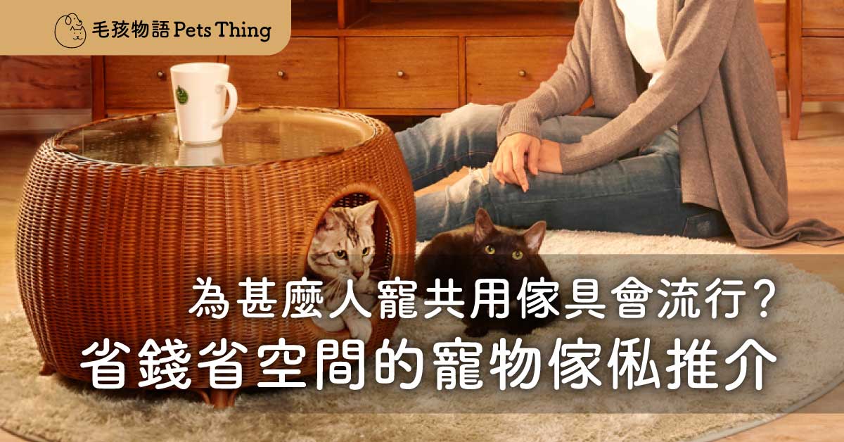 【2026人寵共融】為甚麼人寵共用傢具會流行？省錢省空間的寵物傢俬推介 - 毛孩物語Pets Thing Pet Supplies Online Store｜香港寵物貓狗用品專門店：IATA寵物飛機籠、寵物手推車、貓爬架貓樹