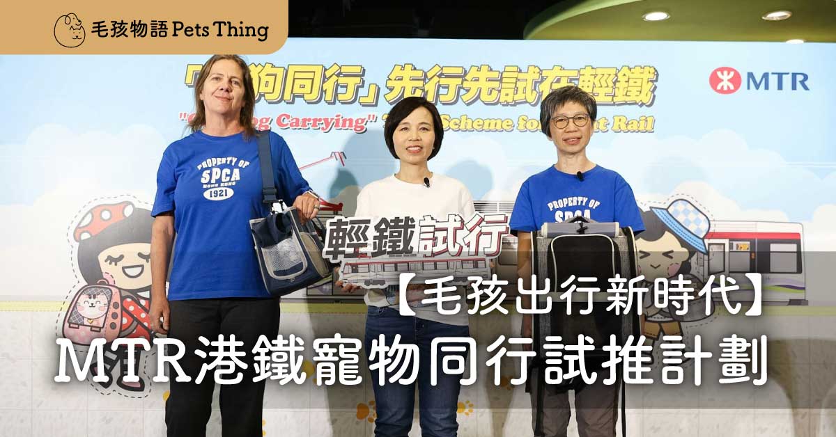 毛孩出行新時代：MTR港鐵「貓狗同行」試推計劃與手推車的智慧選擇 - 毛孩物語Pets Thing Pet Supplies Online Store｜香港寵物貓狗用品專門店：IATA寵物飛機籠、寵物手推車、貓爬架貓樹