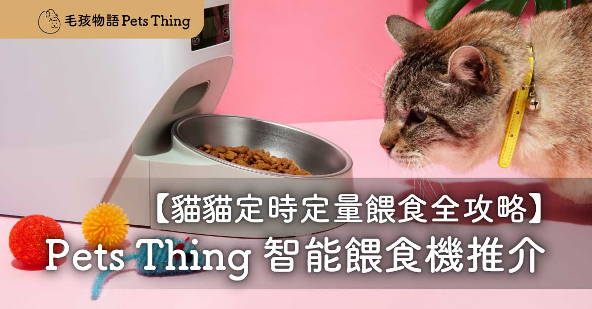 貓奴必睇：貓貓飲食全攻略 – 定時定量餵食與 Pets Thing 智能餵食機推介 - 毛孩物語Pets Thing Pet Supplies Online Store｜香港寵物貓狗用品專門店：IATA寵物飛機籠、寵物手推車、貓爬架貓樹