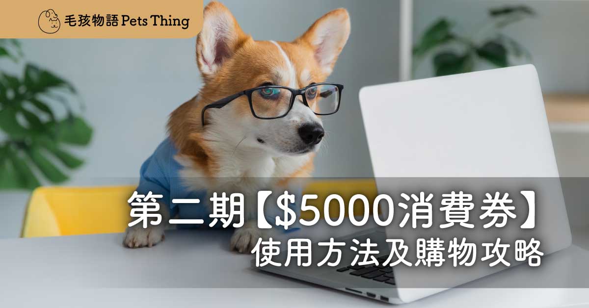 【$10000消費券攻略】2022年新二輪電子消費券期限、使用方法、限制（轉領取平台6月23日登記） - 毛孩物語Pets Thing Pet Supplies Online Store｜香港寵物貓狗用品專門店：IATA寵物飛機籠、寵物手推車、貓爬架貓樹