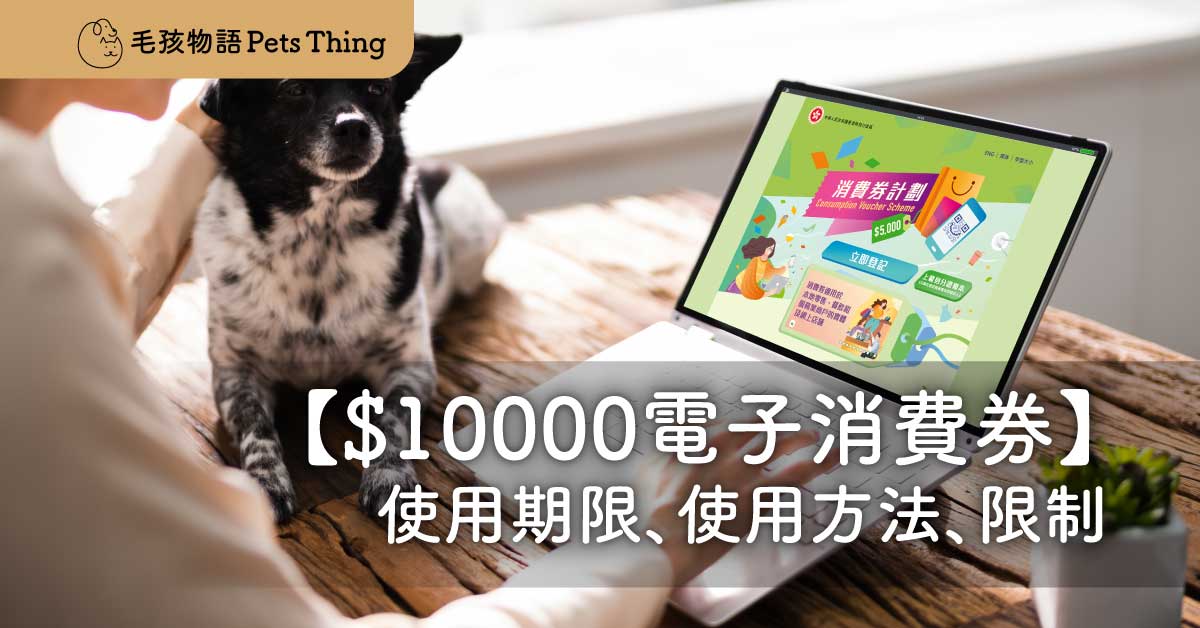 【$10000消費券攻略】2022年新一輪電子消費券期限、使用方法、限制（首期將於4月發放） - 毛孩物語Pets Thing Pet Supplies Online Store｜香港寵物貓狗用品專門店：IATA寵物飛機籠、寵物手推車、貓爬架貓樹