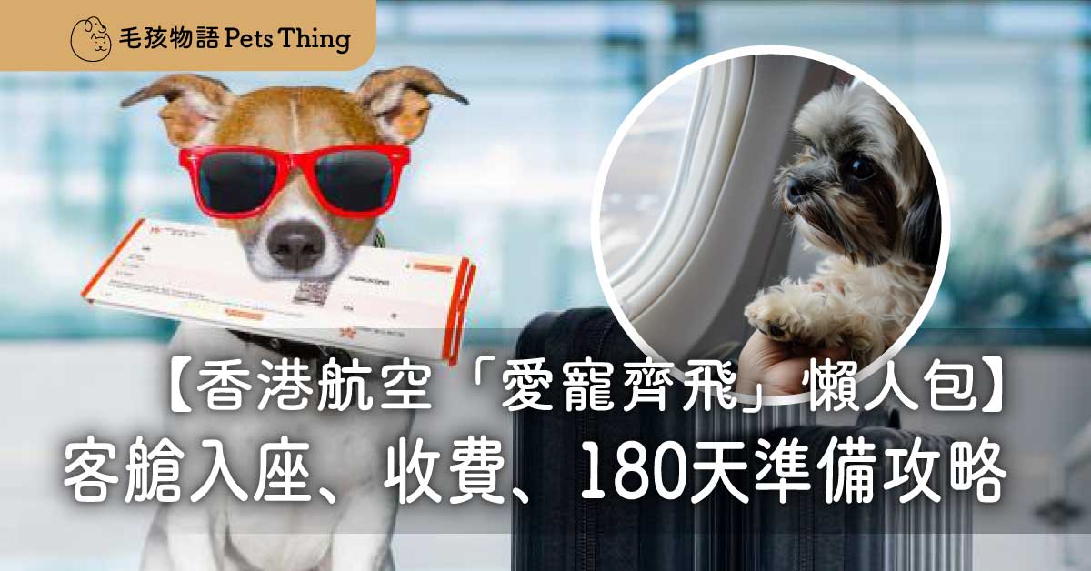 【2026帶狗去日本】香港航空「愛寵齊飛」懶人包：客艙入座、收費、180天準備攻略 - 毛孩物語Pets Thing Pet Supplies Online Store｜香港寵物貓狗用品專門店：IATA寵物飛機籠、寵物手推車、貓爬架貓樹