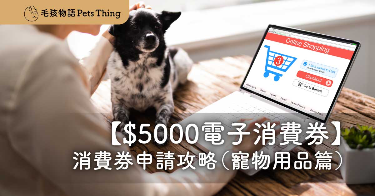 【香港$5000電子消費券】2022年消費券申請攻略（寵物用品篇） - 毛孩物語Pets Thing Pet Supplies Online Store｜香港寵物貓狗用品專門店：IATA寵物飛機籠、寵物手推車、貓爬架貓樹