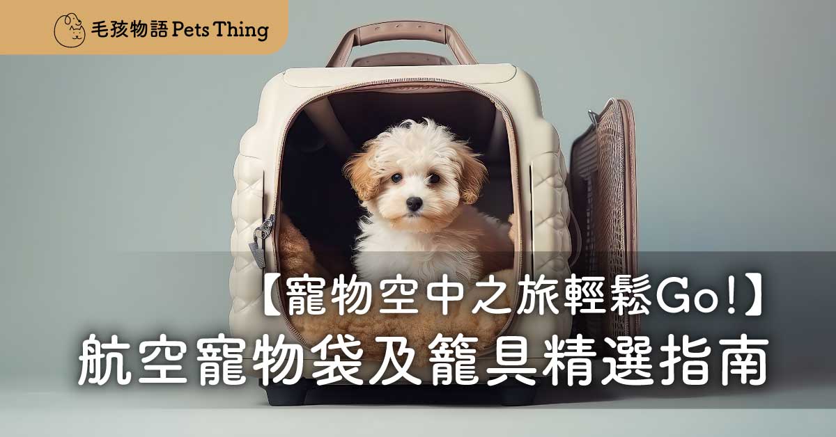 寵物空中之旅輕鬆Go！香港航空寵物袋及籠具精選指南 - 毛孩物語Pets Thing Pet Supplies Online Store｜香港寵物貓狗用品專門店：IATA寵物飛機籠、寵物手推車、貓爬架貓樹