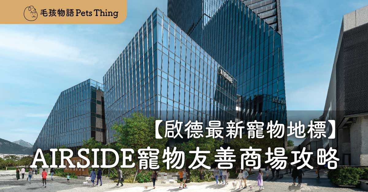 【啟德最新寵物地標】AIRSIDE寵物友善商場｜寵物遊樂場｜AIRSIDE狗狗攻略 - 毛孩物語Pets Thing Pet Supplies Online Store｜香港寵物貓狗用品專門店：IATA寵物飛機籠、寵物手推車、貓爬架貓樹
