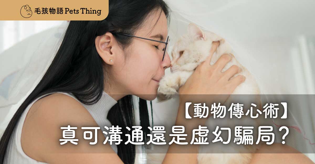動物傳心術：真可溝通還是虛幻騙局？ - 毛孩物語Pets Thing Pet Supplies Online Store｜香港寵物貓狗用品專門店：IATA寵物飛機籠、寵物手推車、貓爬架貓樹