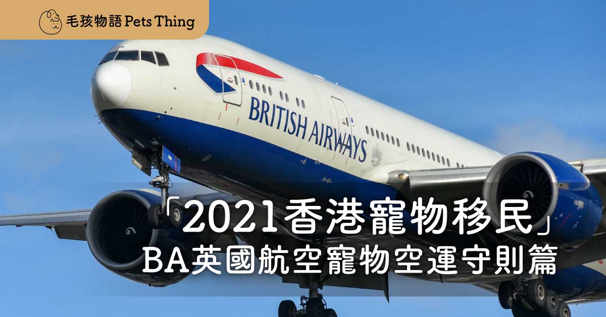 「2023香港寵物移民」BA英國航空寵物空運守則篇 - 毛孩物語Pets Thing Pet Supplies Online Store｜香港寵物貓狗用品專門店：IATA寵物飛機籠、寵物手推車、貓爬架貓樹
