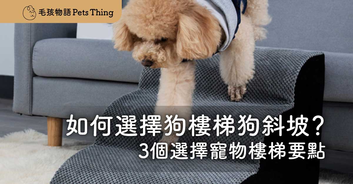 如何選擇香港狗樓梯狗斜坡？3個選擇寵物樓梯要點 - 毛孩物語Pets Thing Pet Supplies Online Store｜香港寵物貓狗用品專門店：IATA寵物飛機籠、寵物手推車、貓爬架貓樹