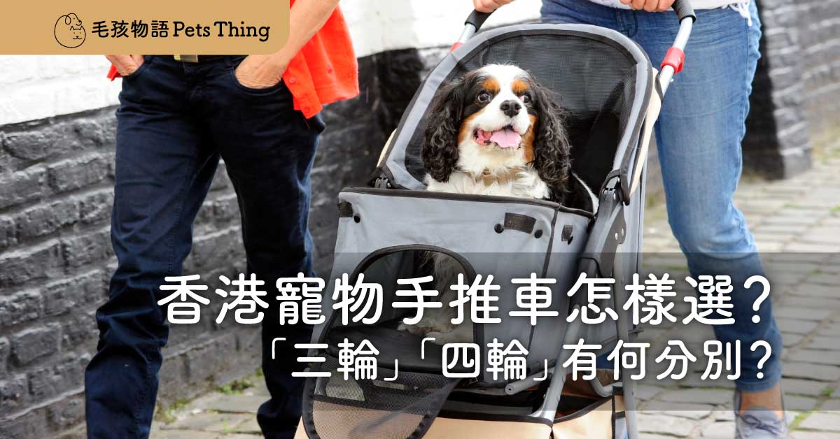 香港寵物手推車怎樣選？「三輪」「四輪」有何分別？【2026年更新】 - 毛孩物語Pets Thing Pet Supplies Online Store｜香港寵物貓狗用品專門店：IATA寵物飛機籠、寵物手推車、貓爬架貓樹
