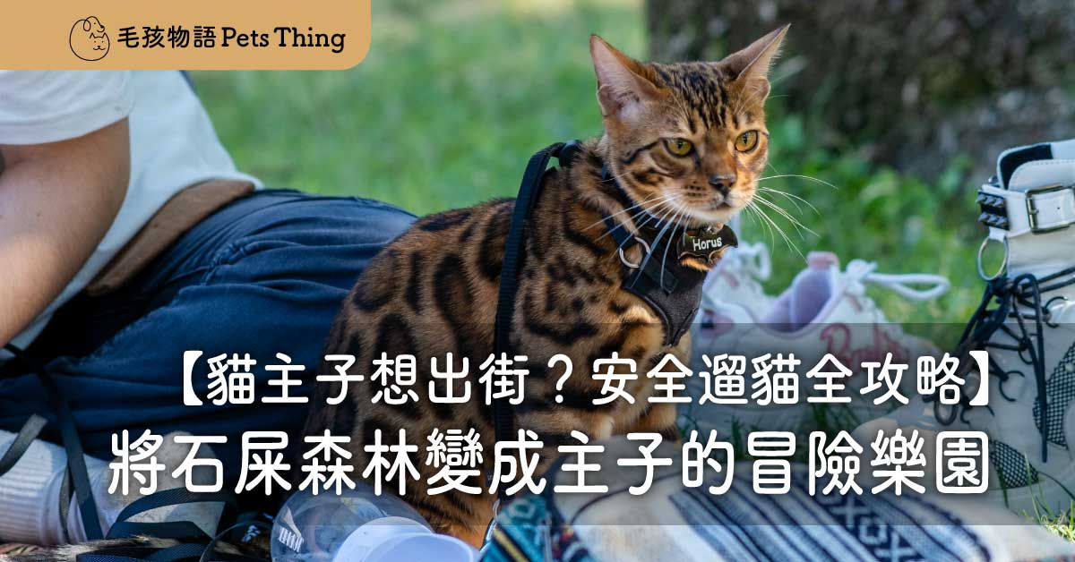 「貓主子想出街？」香港貓奴必讀天書：安全遛貓全攻略，將石屎森林變成主子的冒險樂園！ - 毛孩物語Pets Thing Pet Supplies Online Store｜香港寵物貓狗用品專門店：IATA寵物飛機籠、寵物手推車、貓爬架貓樹