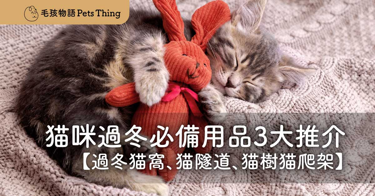「2026年貓貓冬天」香港冬天又到，貓咪過冬必備用品3大推介 - 毛孩物語Pets Thing Pet Supplies Online Store｜香港寵物貓狗用品專門店：IATA寵物飛機籠、寵物手推車、貓爬架貓樹