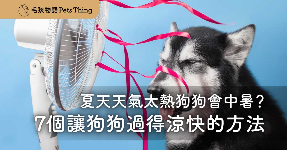 【2026年狗狗的夏天】天氣太熱狗狗會中暑？7個讓狗狗夏天過涼快暑假的方法 - 毛孩物語Pets Thing Pet Supplies Online Store｜香港寵物貓狗用品專門店：IATA寵物飛機籠、寵物手推車、貓爬架貓樹