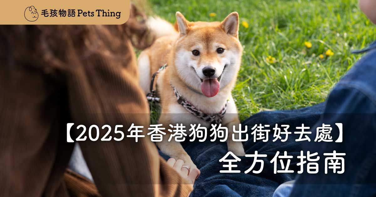 2026年香港狗狗出街好去處：全方位指南 - 毛孩物語Pets Thing Pet Supplies Online Store｜香港寵物貓狗用品專門店：IATA寵物飛機籠、寵物手推車、貓爬架貓樹