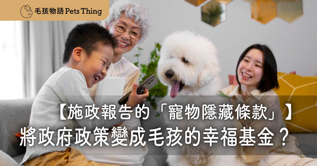 施政報告的「寵物隱藏條款」：如何將政府政策，變成你家毛孩的幸福基金？ - 毛孩物語Pets Thing Pet Supplies Online Store｜香港寵物貓狗用品專門店：IATA寵物飛機籠、寵物手推車、貓爬架貓樹
