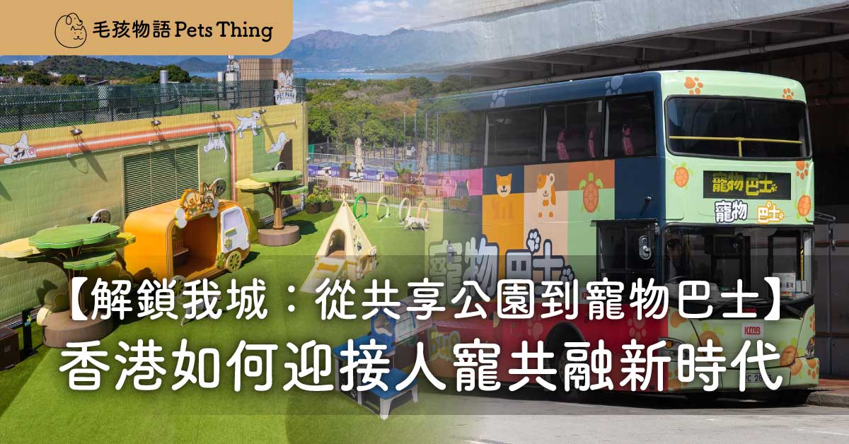 解鎖我城：從共享公園到寵物巴士，香港如何迎接人寵共融新時代 - 毛孩物語Pets Thing Pet Supplies Online Store｜香港寵物貓狗用品專門店：IATA寵物飛機籠、寵物手推車、貓爬架貓樹
