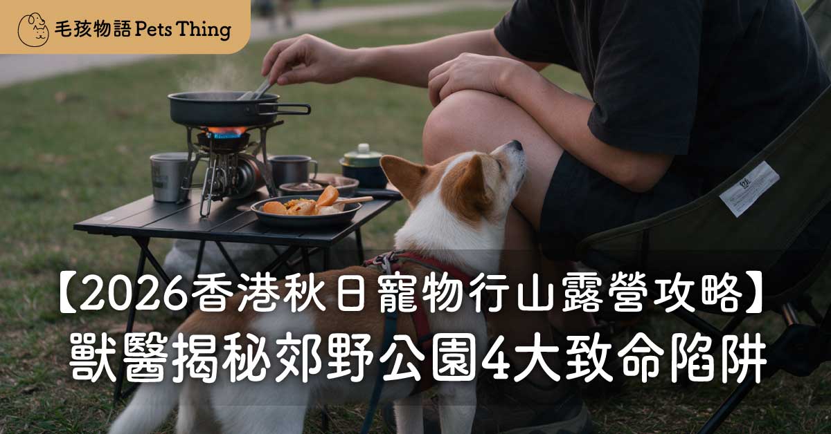 【2026香港秋日寵物行山露營攻略】獸醫揭秘郊野公園4大致命陷阱