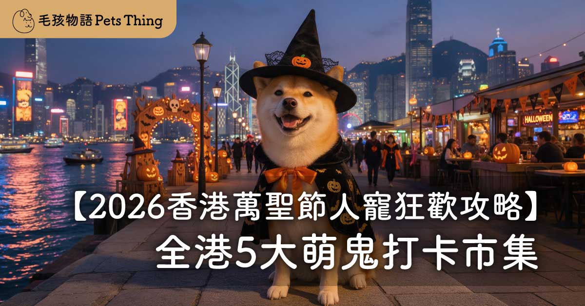 【2026香港萬聖節人寵狂歡攻略】全港5大萌鬼打卡市集