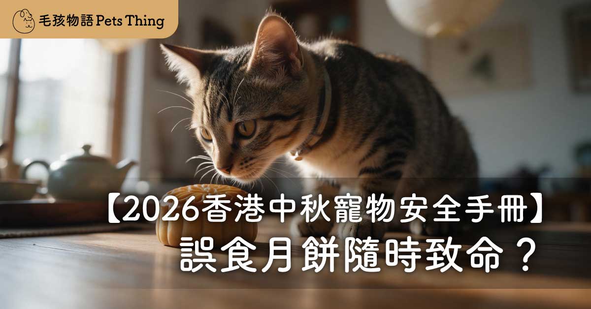 【2026香港中秋寵物安全手冊】誤食月餅隨時致命？