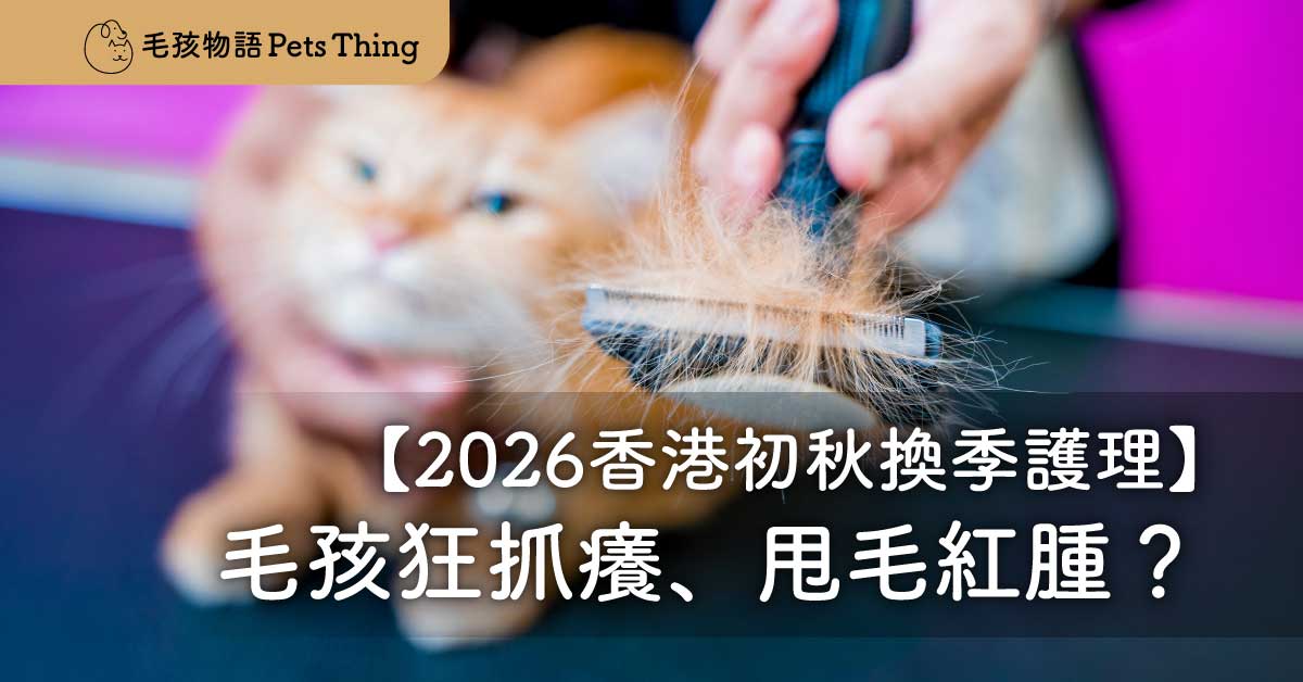 【2026香港初秋換季護理】毛孩狂抓癢、甩毛紅腫？