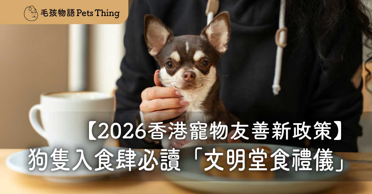 【2026香港寵物友善新政策】狗隻入食肆正式落地！毛爸媽必讀「文明堂食禮儀」