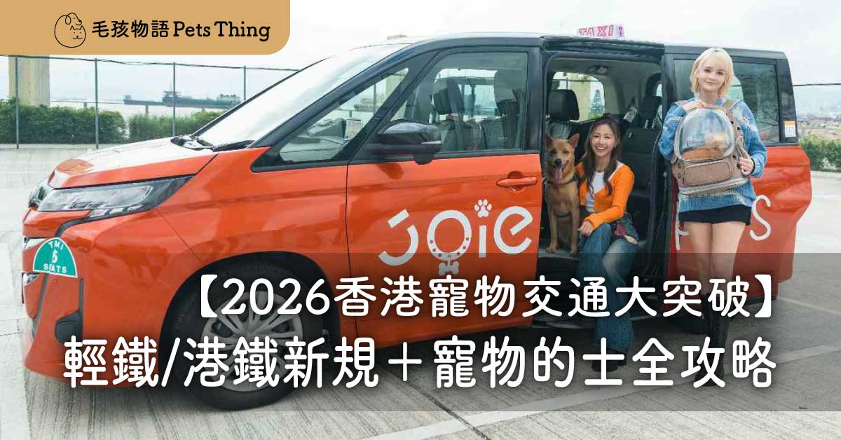 【2026香港寵物交通大突破】輕鐵/港鐵新規＋寵物的士全攻略