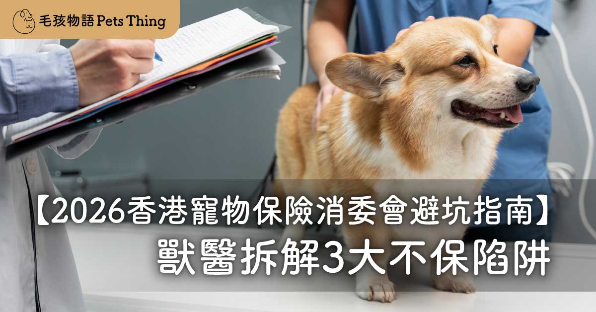 【2026香港寵物保險消委會避坑指南】睇獸醫動輒幾萬蚊？獸醫拆解3大不保陷阱