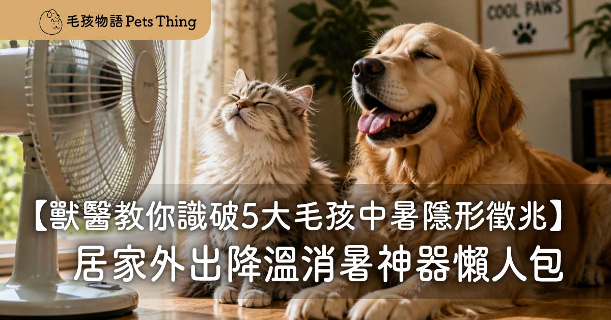 【2026香港盛夏高溫警報】毛孩中暑熱衰竭奪命只需15分鐘！獸醫教你識破5大隱形徵兆＋Pets Thing 居家外出降溫消暑神器懶人包