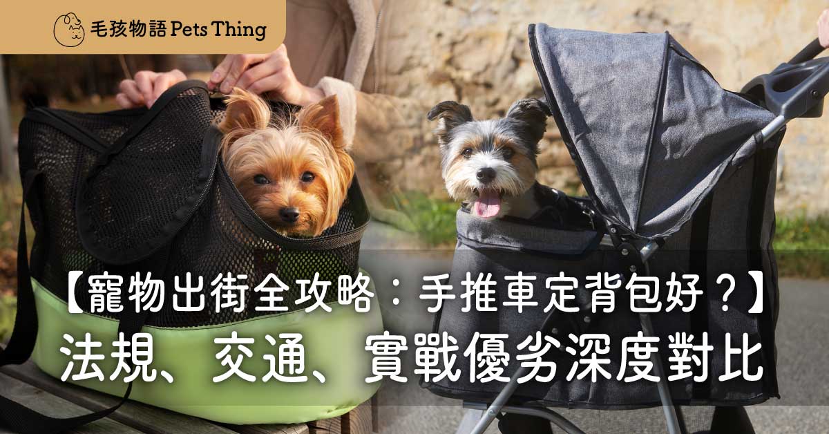 2026香港寵物出街全攻略：手推車定背包好？法規、交通、實戰優劣深度對比