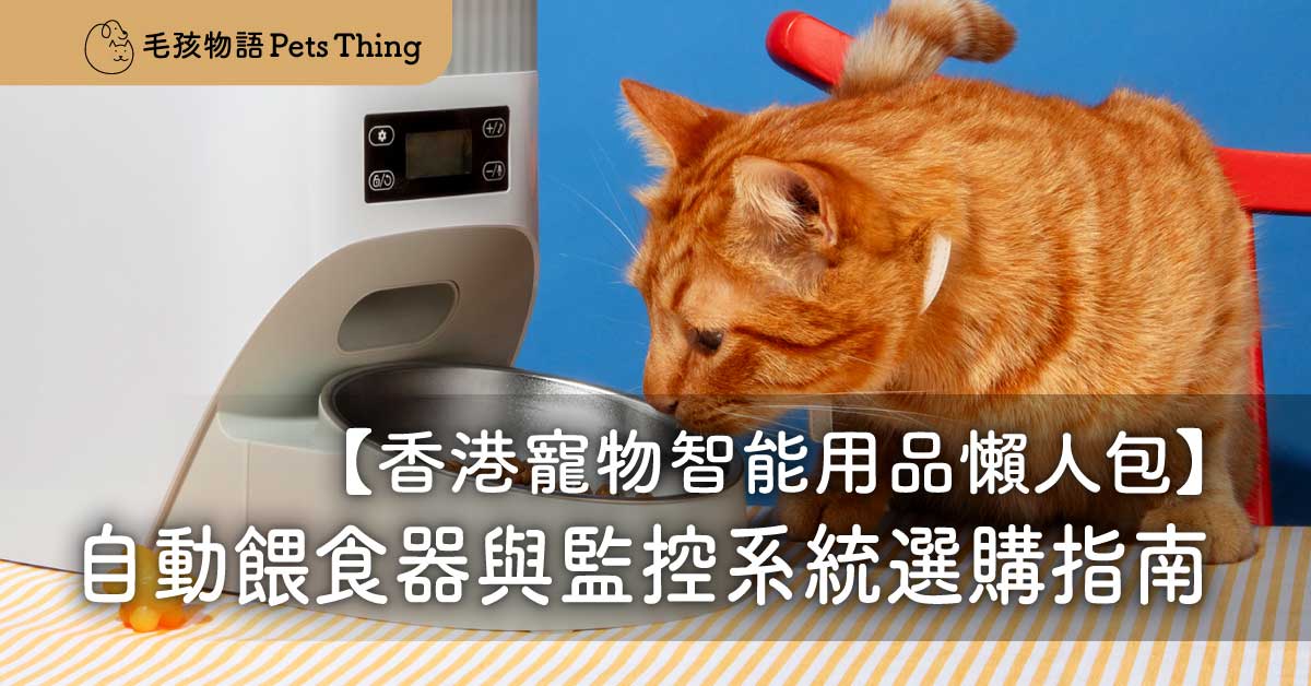 2026香港寵物智能用品懶人包：自動餵食器與監控系統選購指南