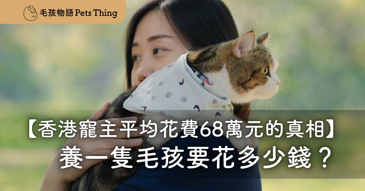 養一隻毛孩要花多少錢？香港寵物主平均花費68萬元的真相 - 毛孩物語Pets Thing Pet Supplies Online Store｜香港寵物貓狗用品專門店：IATA寵物飛機籠、寵物手推車、貓爬架貓樹
