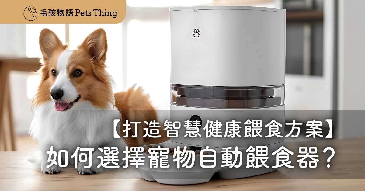 如何選擇寵物自動餵食器：打造智慧健康餵食方案 - 毛孩物語Pets Thing Pet Supplies Online Store｜香港寵物貓狗用品專門店：IATA寵物飛機籠、寵物手推車、貓爬架貓樹