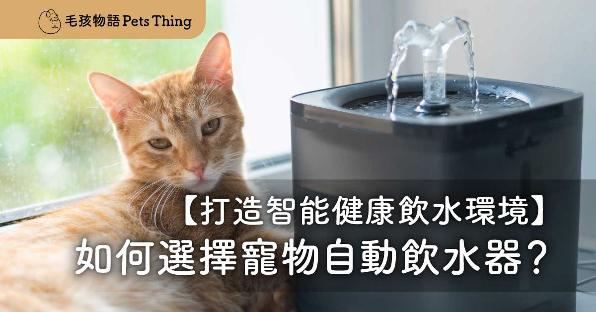 如何選擇寵物自動飲水器：打造智能健康飲水環境 - 毛孩物語Pets Thing Pet Supplies Online Store｜香港寵物貓狗用品專門店：IATA寵物飛機籠、寵物手推車、貓爬架貓樹