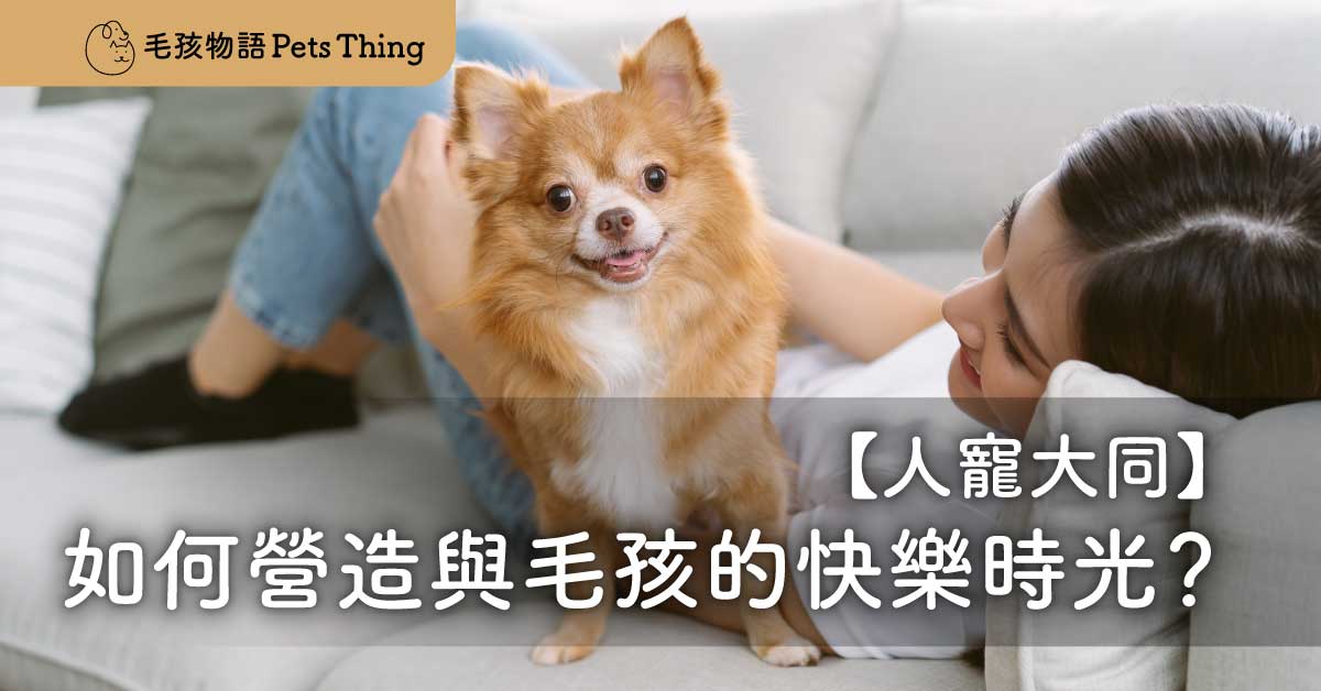 人寵大同：如何營造與毛孩共同成長的快樂時光？ - 毛孩物語Pets Thing Pet Supplies Online Store｜香港寵物貓狗用品專門店：IATA寵物飛機籠、寵物手推車、貓爬架貓樹