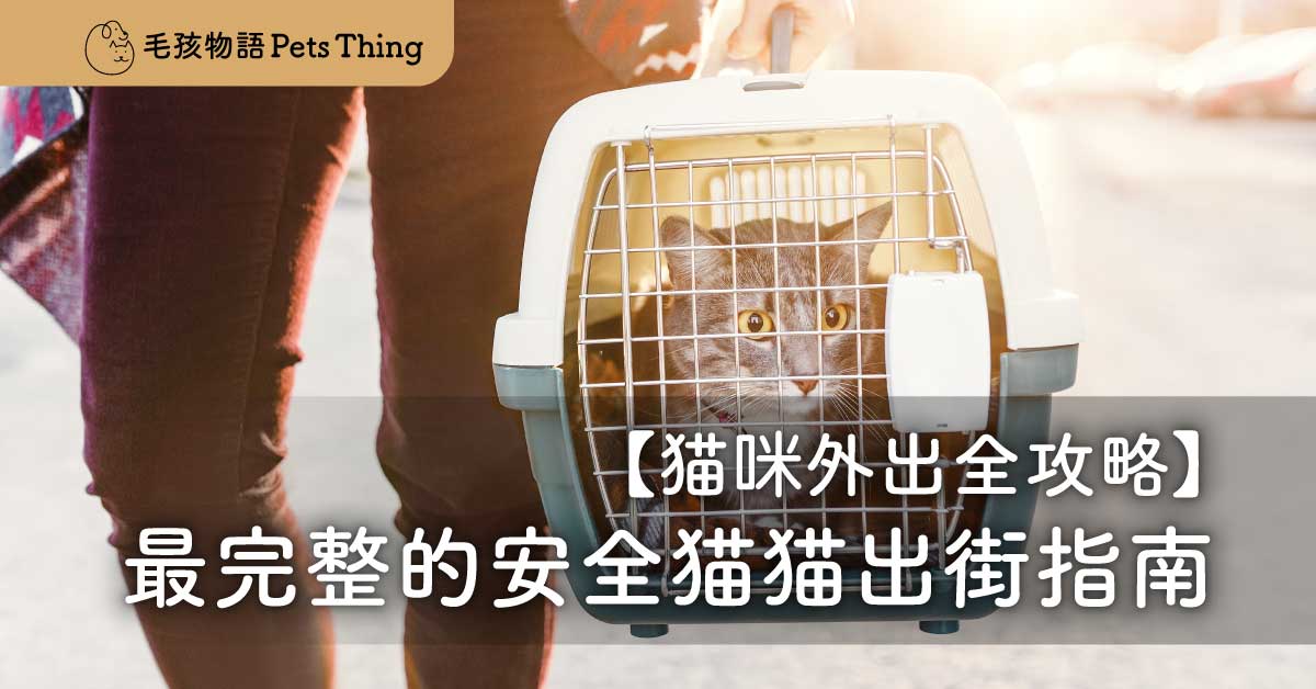 【貓咪外出全攻略】最完整的安全貓貓出街指南 - 毛孩物語Pets Thing Pet Supplies Online Store｜香港寵物貓狗用品專門店：IATA寵物飛機籠、寵物手推車、貓爬架貓樹