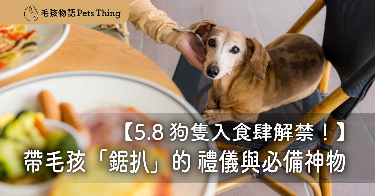 5.8 狗隻入食肆解禁！香港人寵共融新時代：帶毛孩「鋸扒」的 5 大出行禮儀與必備神物
