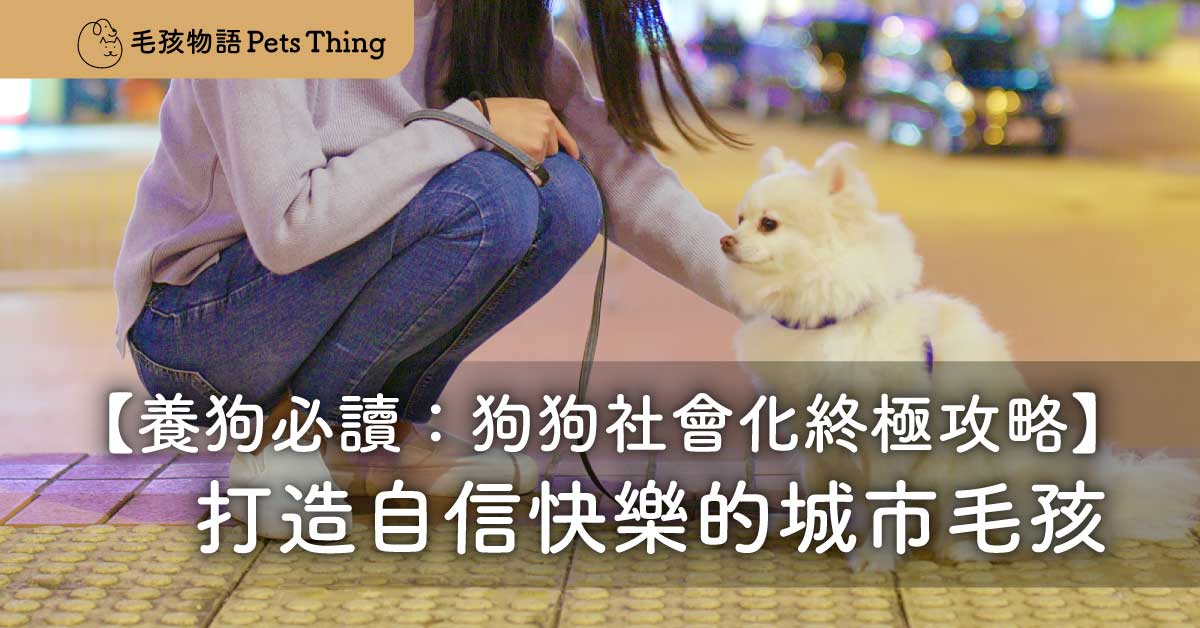 養狗必讀：狗狗社會化終極攻略——打造自信快樂的城市毛孩 - 毛孩物語Pets Thing Pet Supplies Online Store｜香港寵物貓狗用品專門店：IATA寵物飛機籠、寵物手推車、貓爬架貓樹