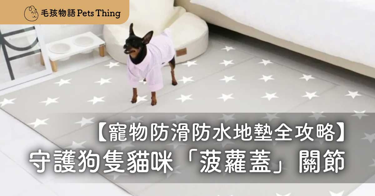 毛孩在家衝刺狂「跣胎」？Pets Thing 寵物防滑防水地墊全攻略：守護狗隻貓咪「菠蘿蓋」關節！