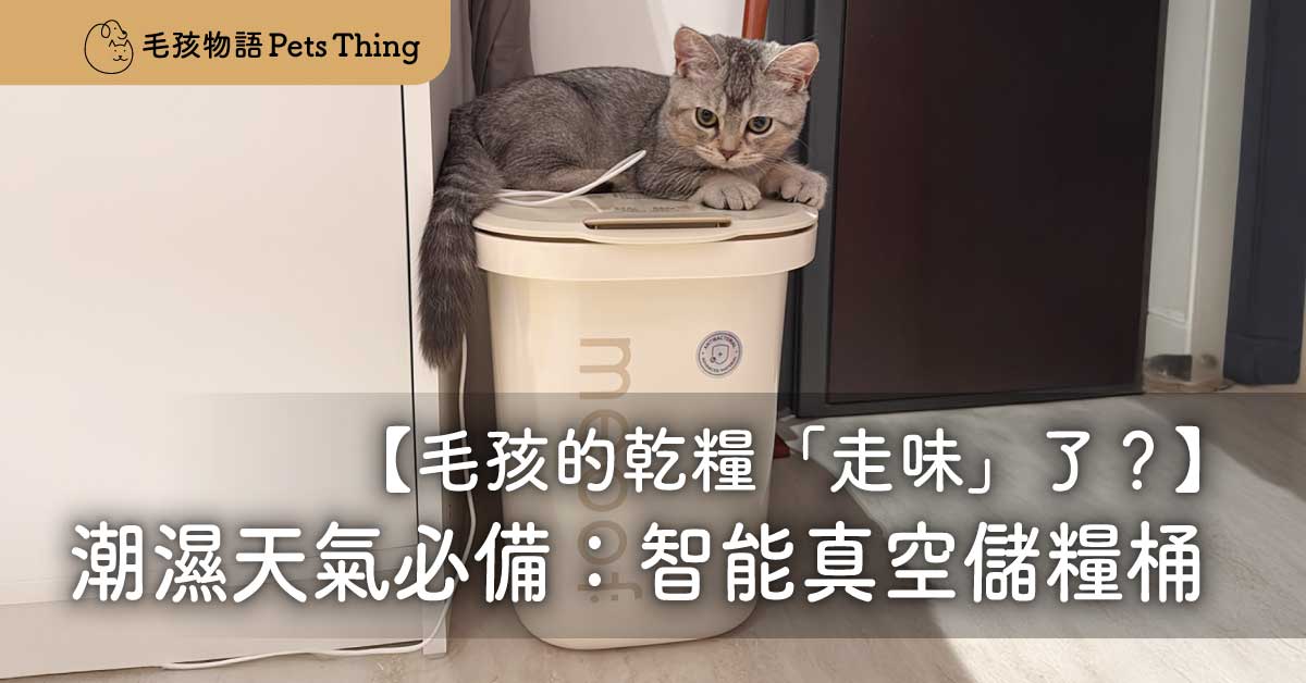 毛孩的乾糧「走味」了？香港潮濕天氣必備：智能真空儲糧桶全攻略 - 毛孩物語Pets Thing Pet Supplies Online Store｜香港寵物貓狗用品專門店：IATA寵物飛機籠、寵物手推車、貓爬架貓樹