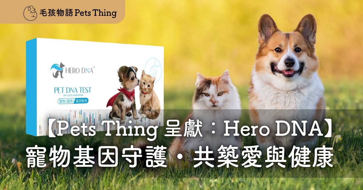 Pets Thing 呈獻：Hero DNA – 您的寵物基因守護者，共築一生愛與健康 - 毛孩物語Pets Thing Pet Supplies Online Store｜香港寵物貓狗用品專門店：IATA寵物飛機籠、寵物手推車、貓爬架貓樹
